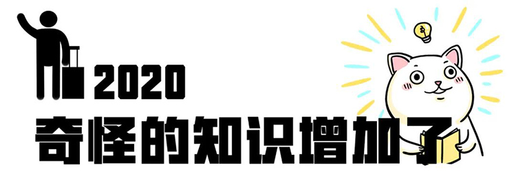808钱包官网 - 新一代安全数字支付钱包工具