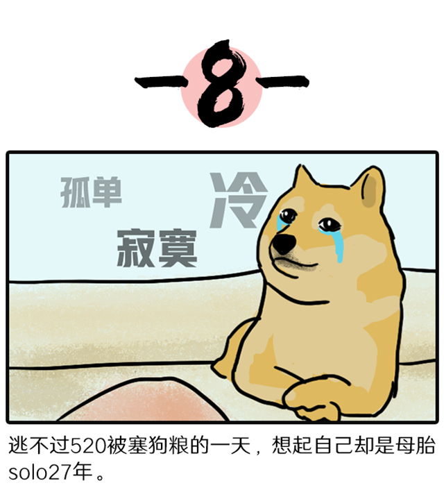 808钱包官网 - 新一代安全数字支付钱包工具